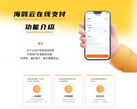 海鸥云在线支付 功能介绍